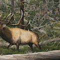 12 Yards
